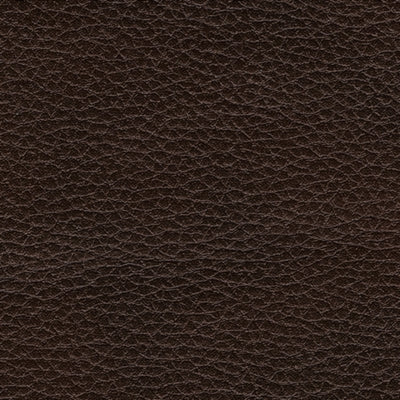 Composer Power Recliner