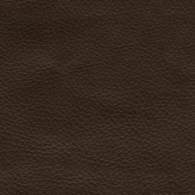 Shadowboxer Power Lift Recliner