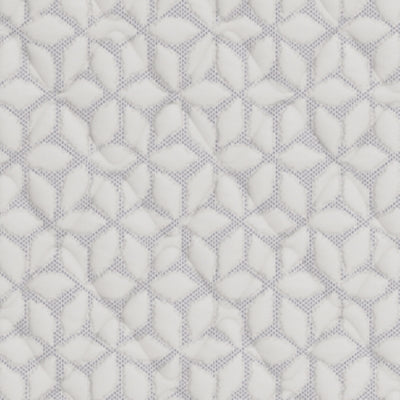 Limited Edition Firm Queen Mattress