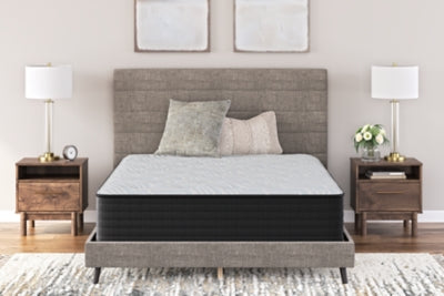 Palisades Plush Queen Mattress