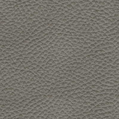 Backtrack Power Recliner