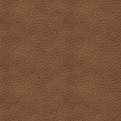 Trasimeno Power Reclining Loveseat with Console