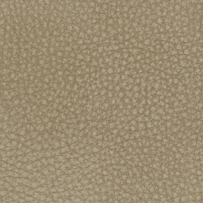 Next-Gen DuraPella Power Recliner