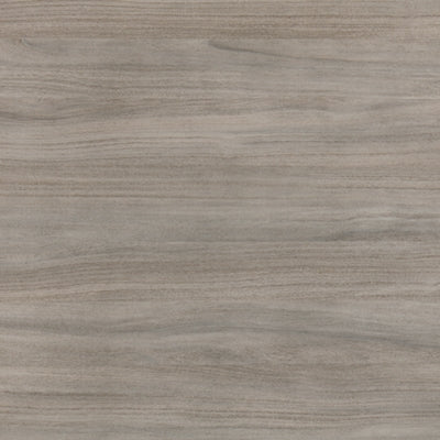 Parellen Dining Chair (Set of 2)