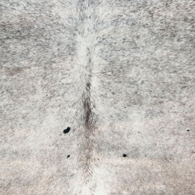 Tailboy 6'5" x 7'11" Rug