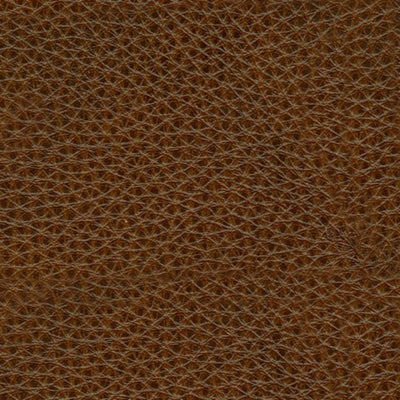 Francesca Power Recliner