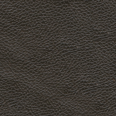 Edmar Power Recliner