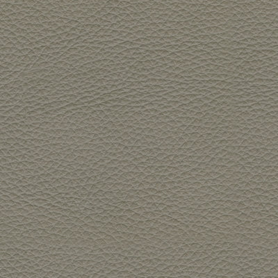 Dunleith Right-Arm Facing Power Recliner