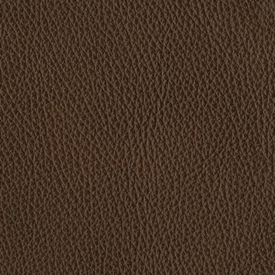 The Man-Den Power Recliner